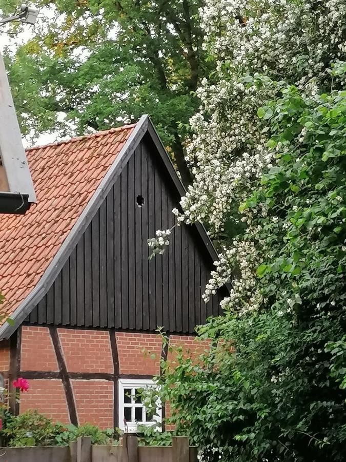 Ferienhaus In Rumke Bippen ภายนอก รูปภาพ