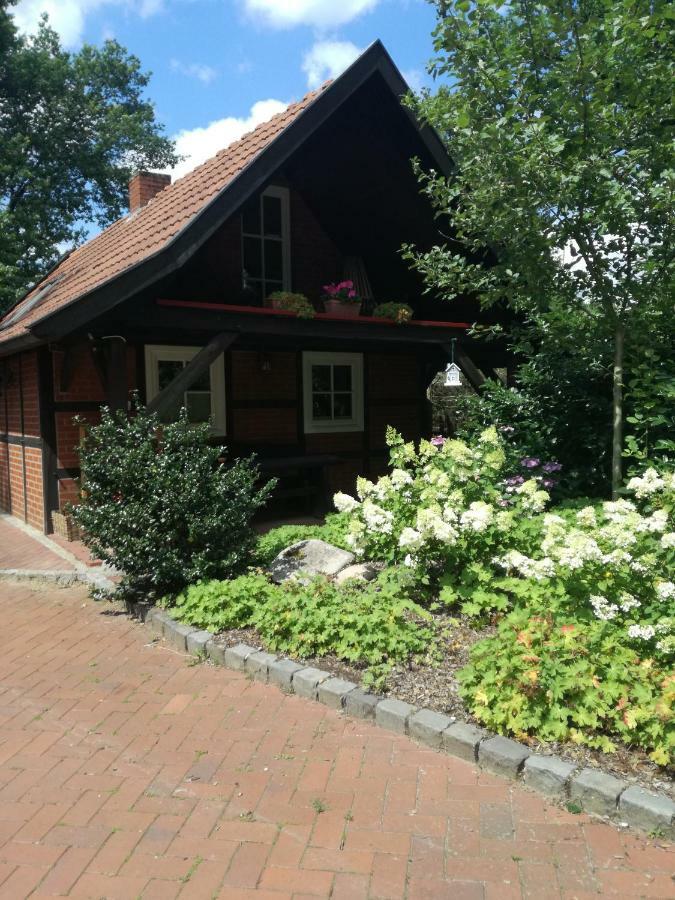 Ferienhaus In Rumke Bippen ภายนอก รูปภาพ